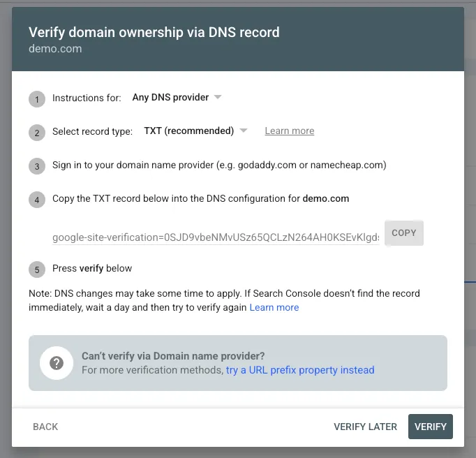 DNS verification record